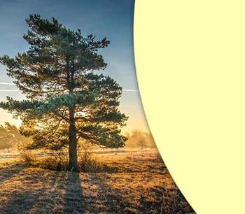 ISRB 2023/01 31 December 2022 year-end Sustainability Reporting Update
