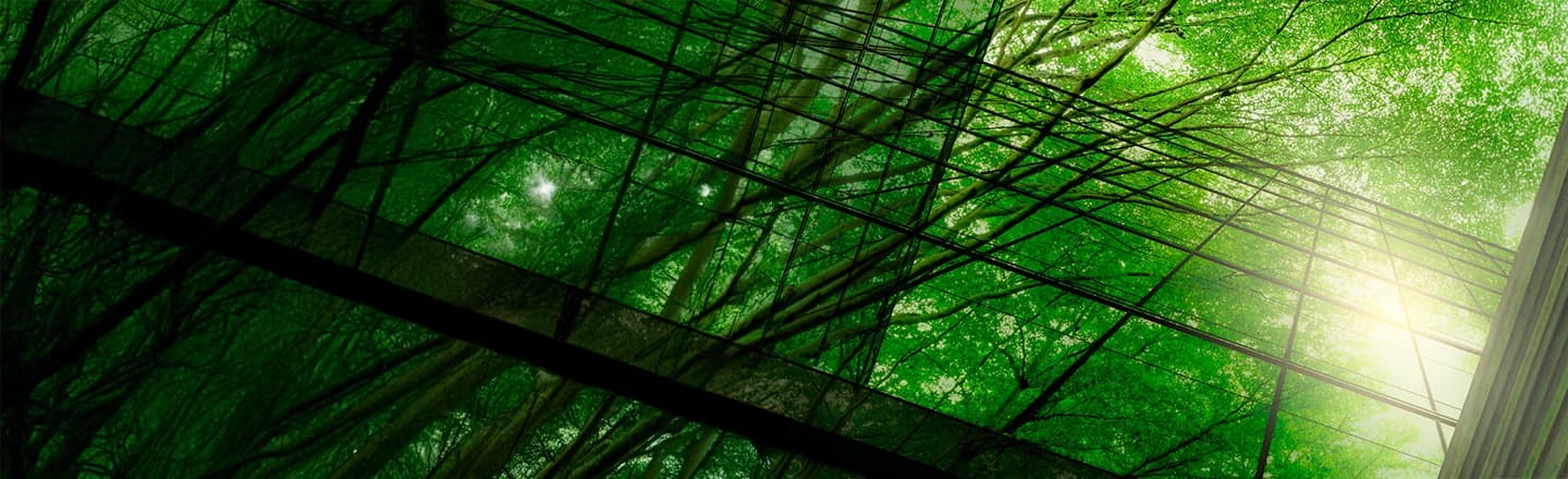 ISRB 2026/01 31 December 2025 Sustainability Reporting Update