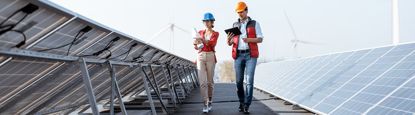 Global Sustainability Services Survey 2025