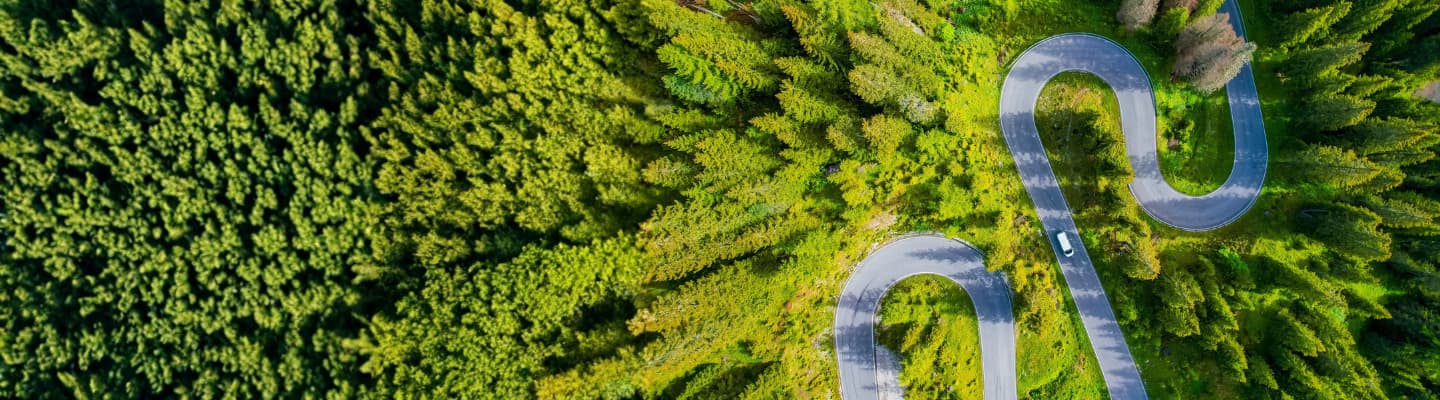 Дорожня карта впровадження ESG-підходів та інструментів сталого фінансування: що важливо знати бізнесу