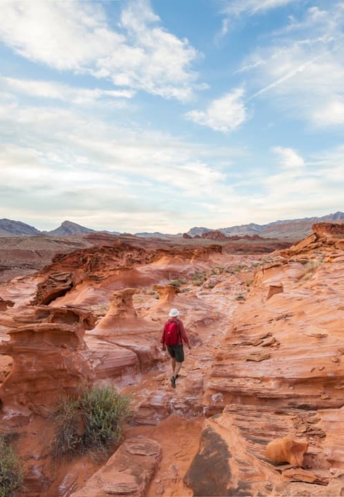 From intent to impact: BDO Sustainability survey 2026