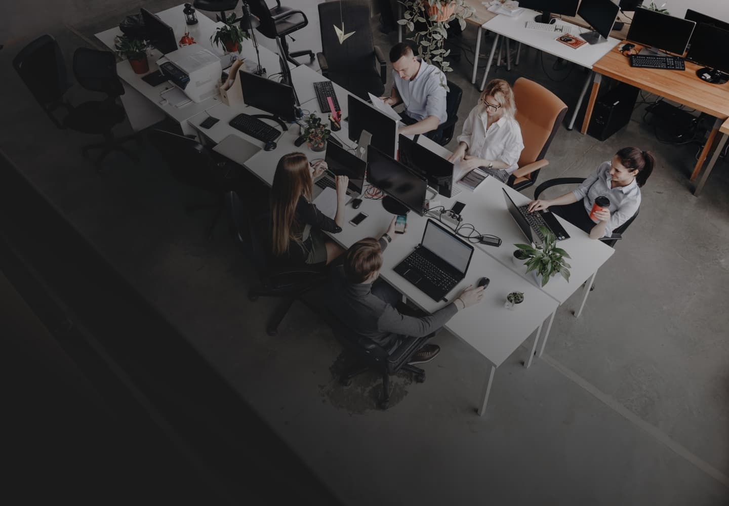 Blick von oben auf den Arbeitsbereich: Mehrere Personen arbeiten an ihren Laptops an einem Tisch, auf dem eine Pflanze und Büromaterial stehen