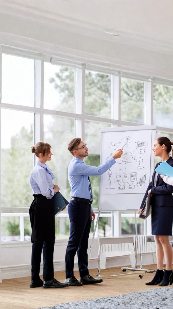 Development of corporate and organisational policies