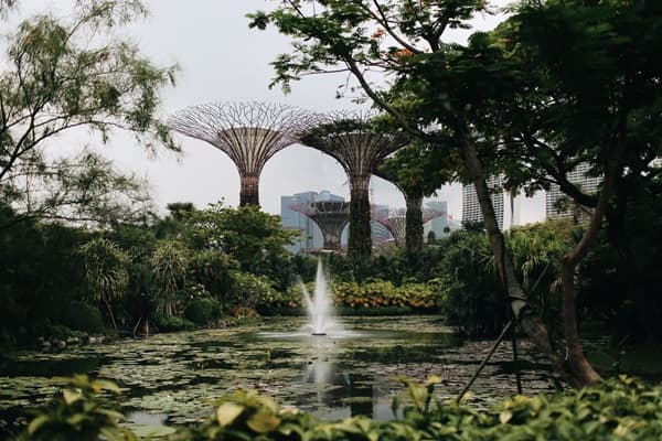BDO-sustainability-AsiaPac