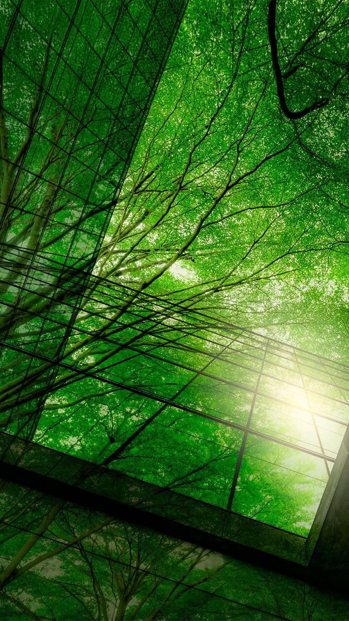 ISRB 2026/01 31 December 2025 Sustainability Reporting Update